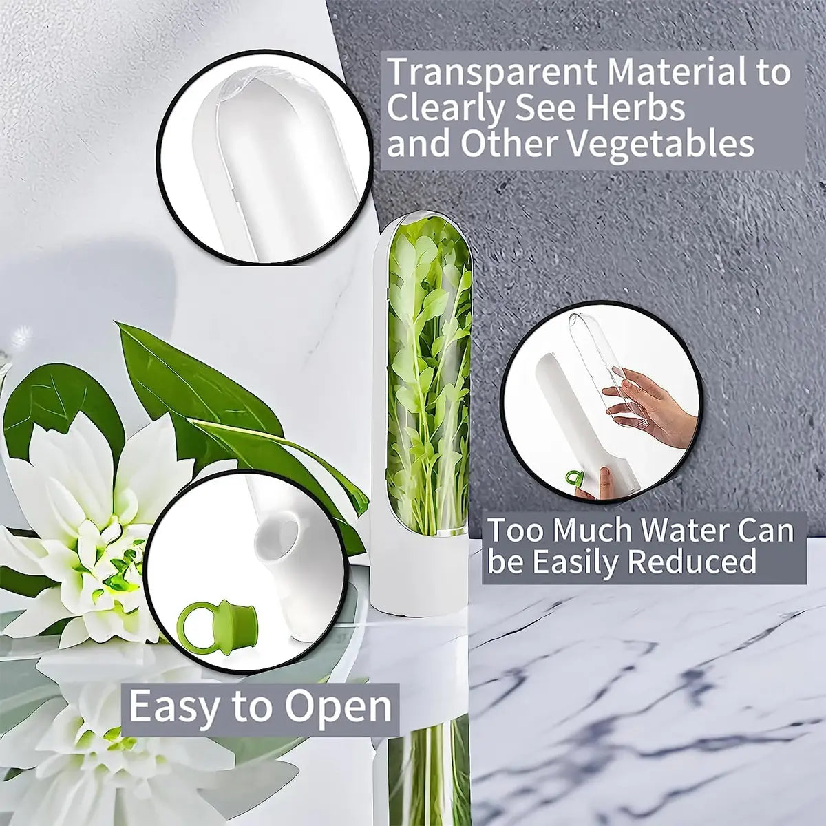 Herb Saver: Freshness Container For Kitchen / herb saver refrigerate