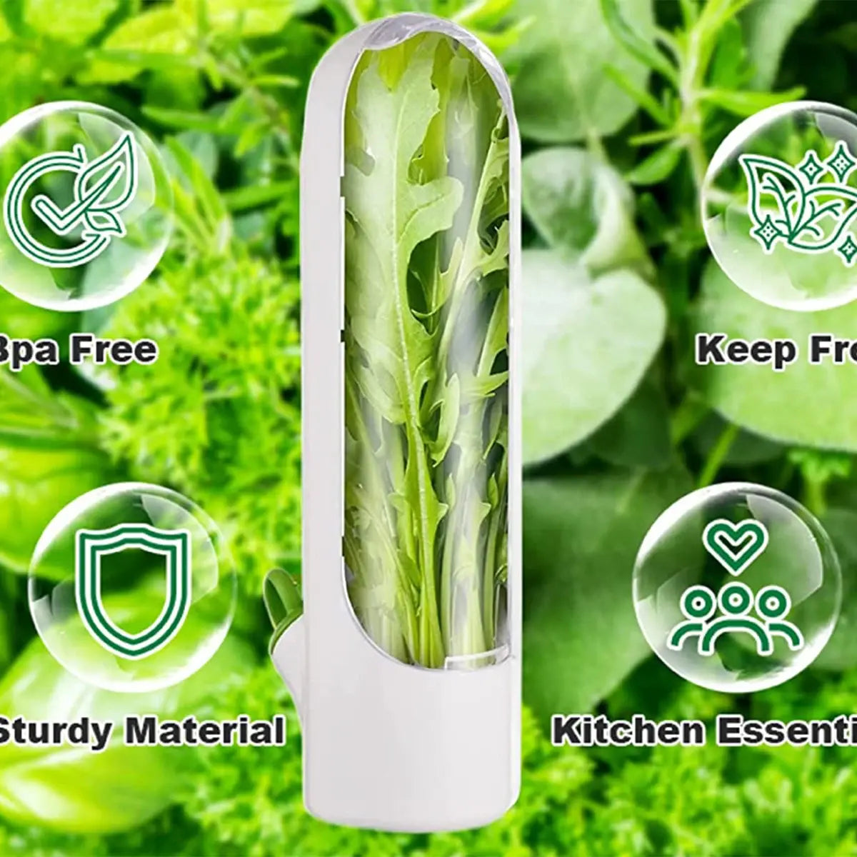 Herb Saver: Freshness Container For Kitchen / herb saver refrigerate