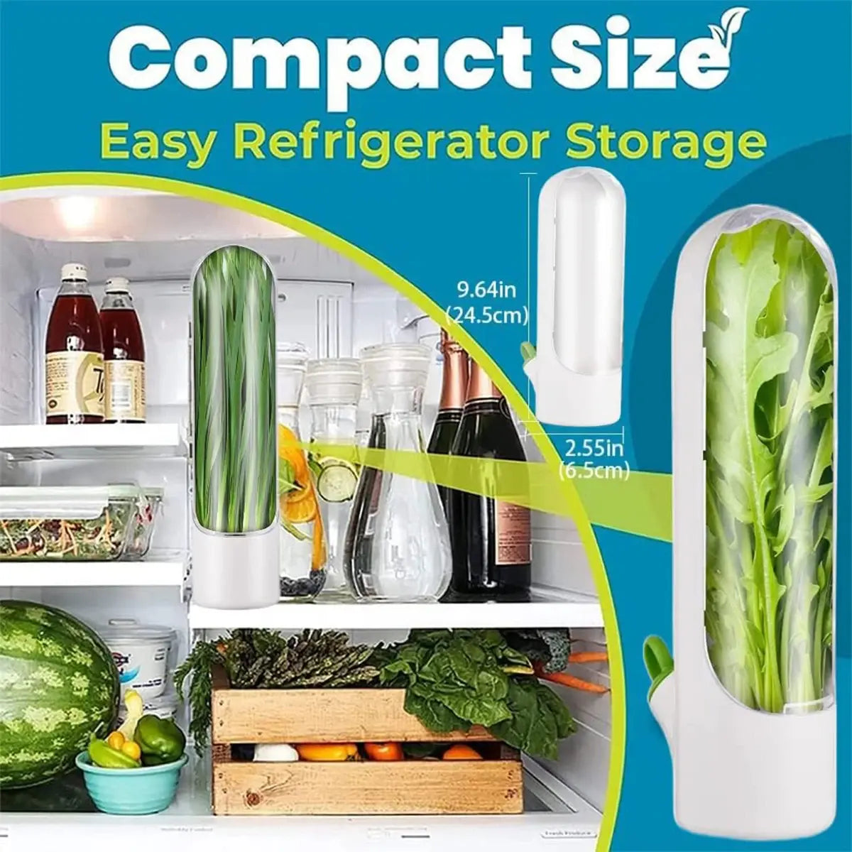 Herb Saver: Freshness Container For Kitchen / herb saver refrigerate