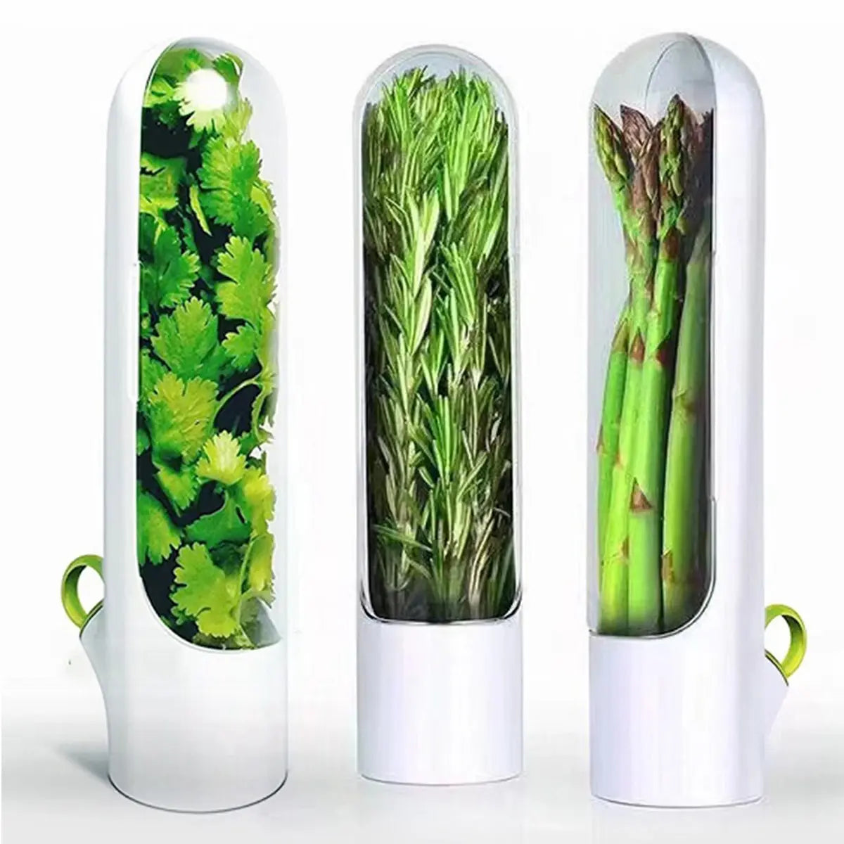 Herb Saver: Freshness Container For Kitchen / herb saver refrigerate